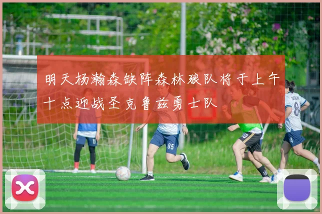 明天杨瀚森缺阵森林狼队将于上午十点迎战圣克鲁兹勇士队