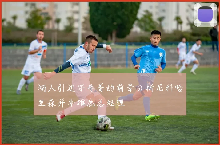 湖人引进字母哥的前景分析尼科哈里森并非雄鹿总经理
